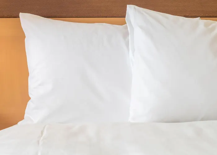 Hotel – Toulouser Allee, An Ihg